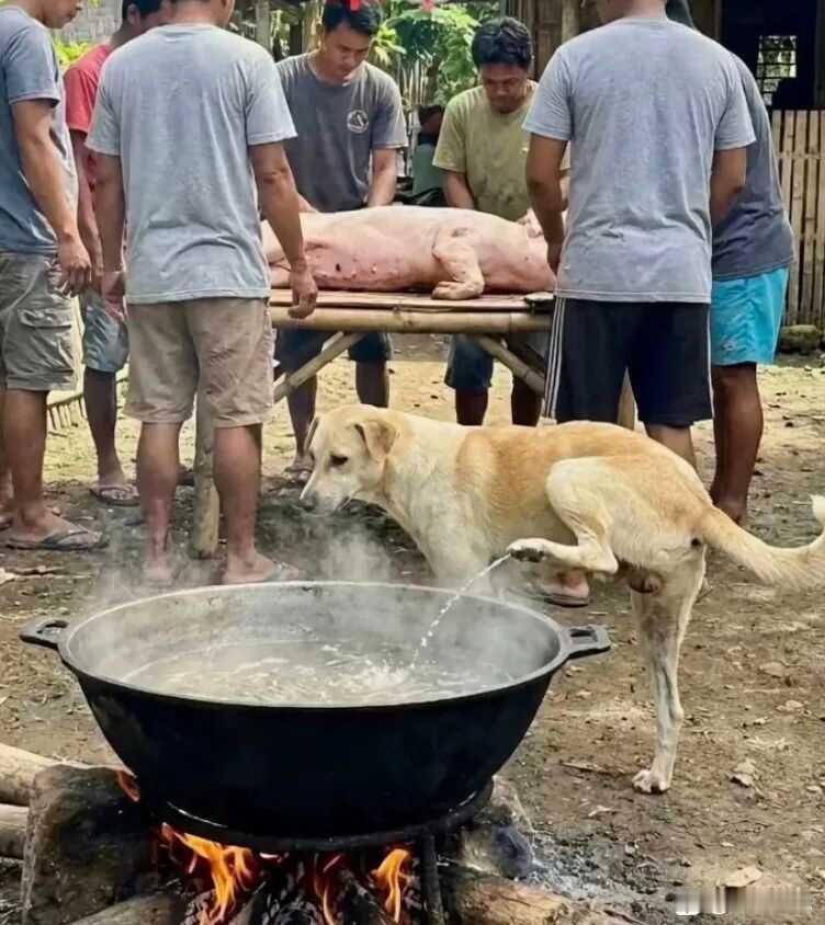 救命啊，这锅汤还能要吗？