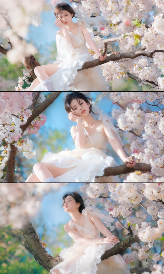 成都樱花开啦🌸朋友说我拍的照片像动漫