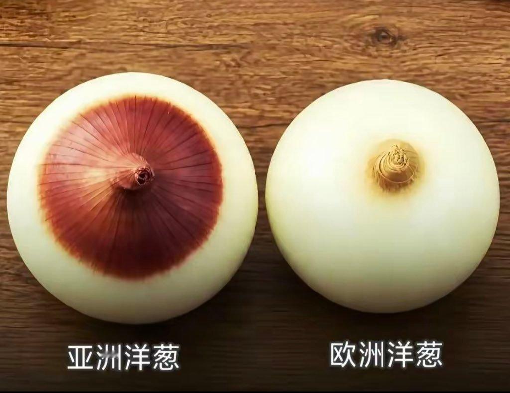 分享图片 ​​​