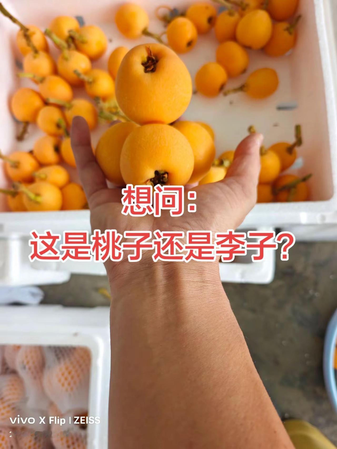 水果分享