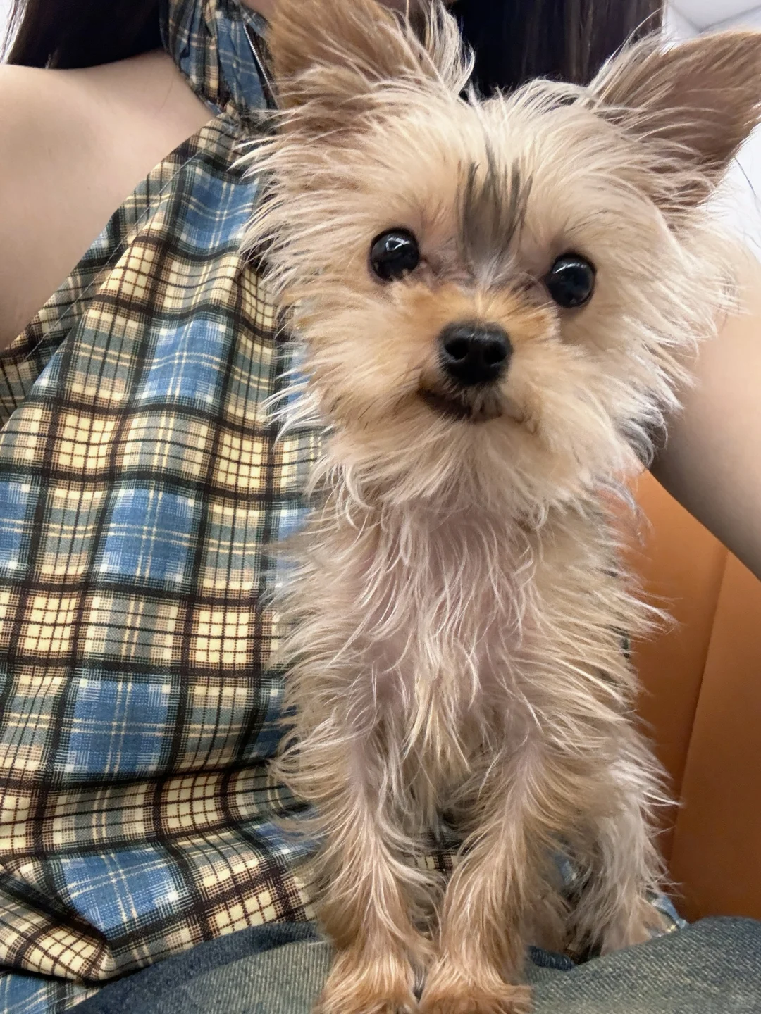 有啥好方法可以给她吃胖一点