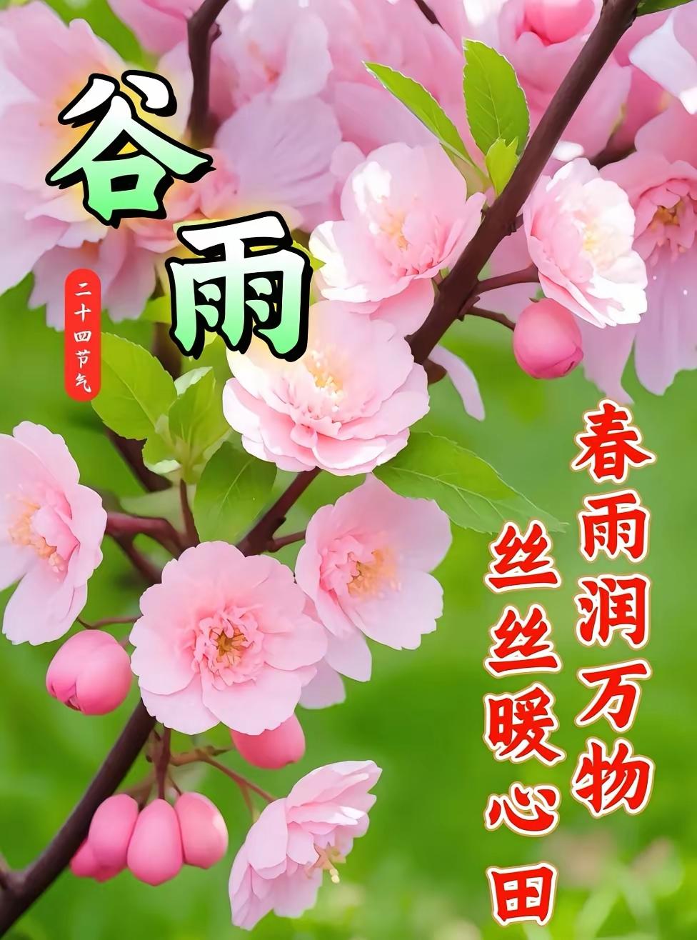 时间过的真快，还没有做什么工作，甚至还没有多想想，结果春天就这么走过了，今天谷雨