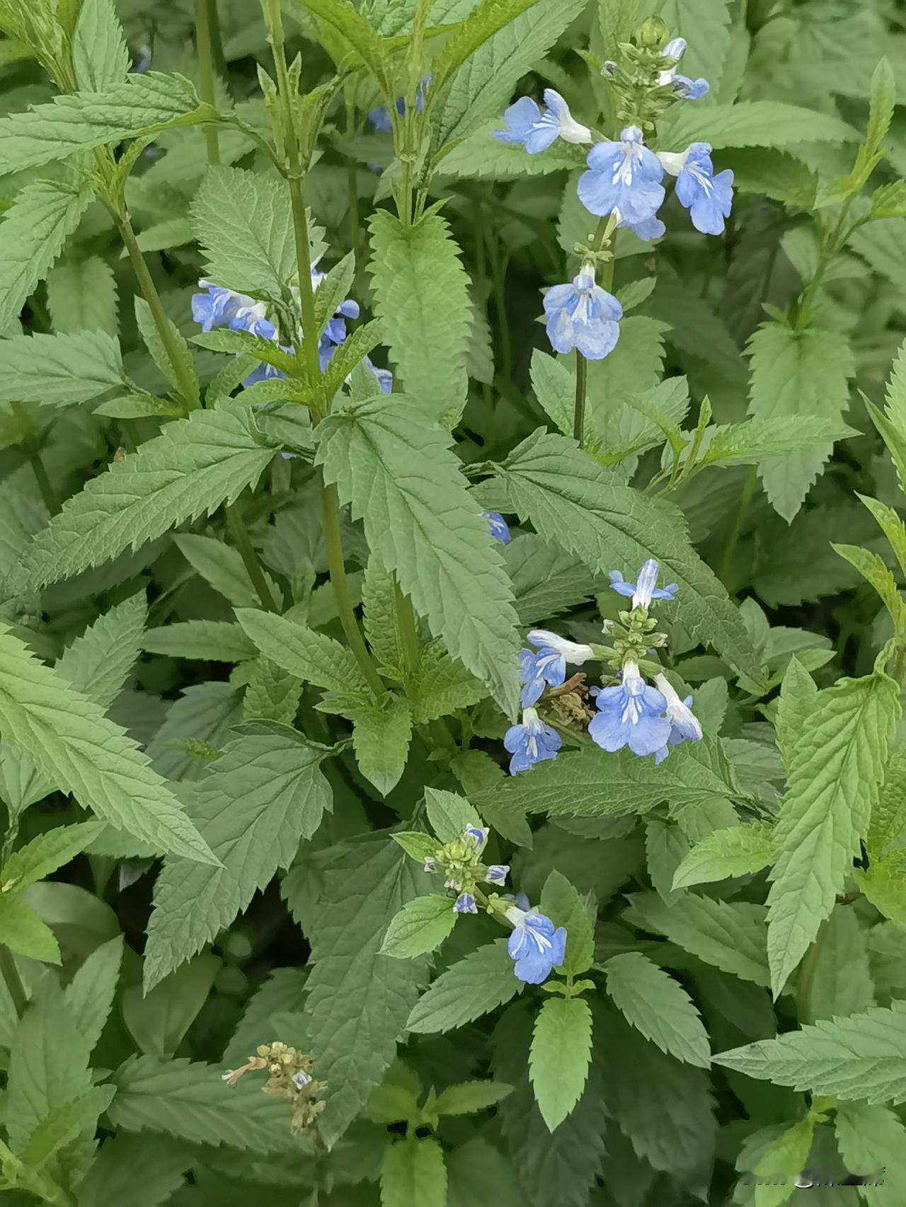 晒图笔记大赛和风细雨，春意盎然。