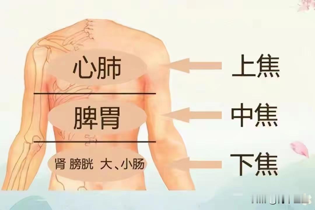 三焦是否通畅，身体会告诉你。知道这三个方子，无论三焦如何堵塞，都能轻松疏通

“