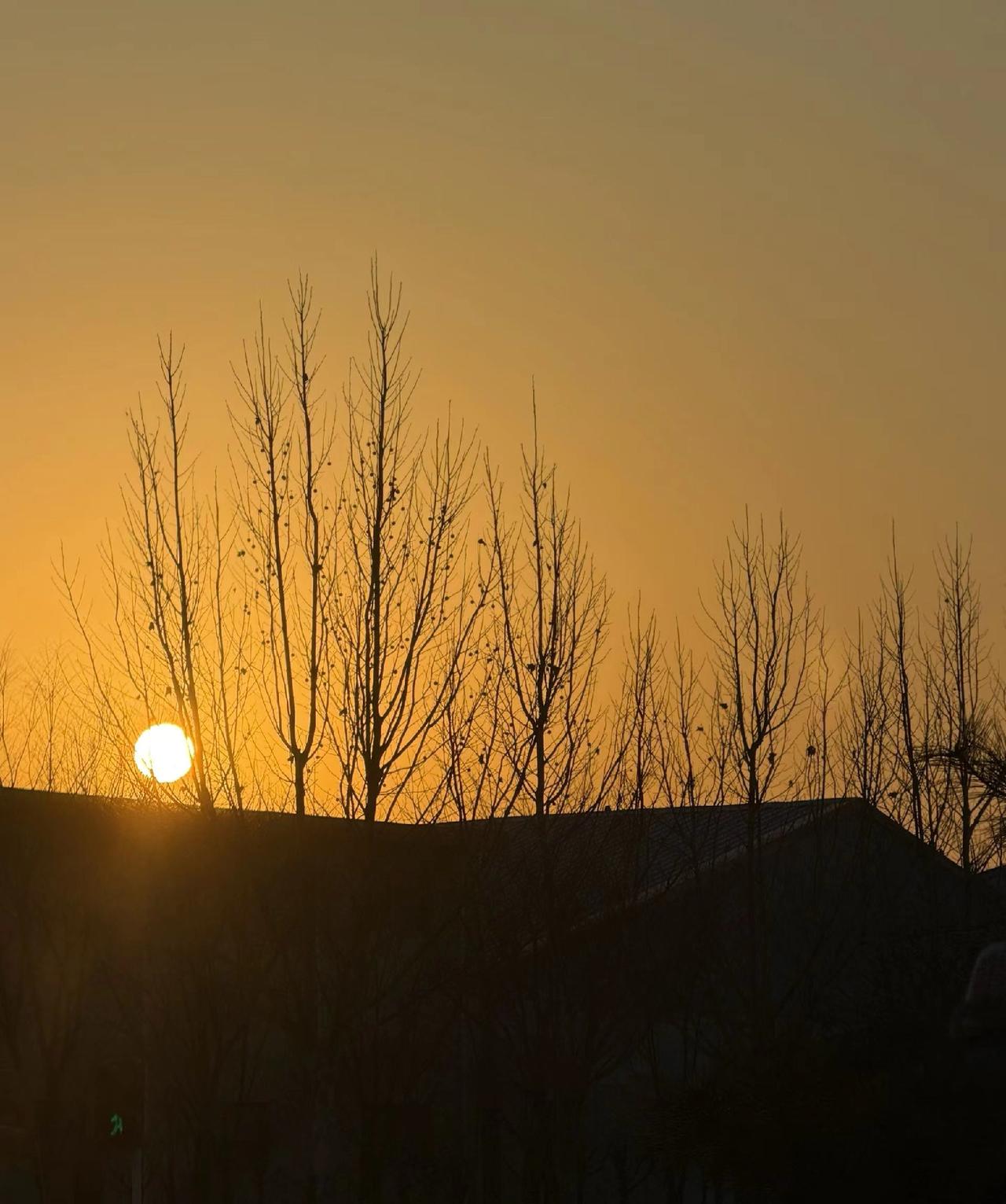 三场雪(短小说)。下午回河东老家，娘说，再过一个月，她就八十七岁。我说，好，使劲