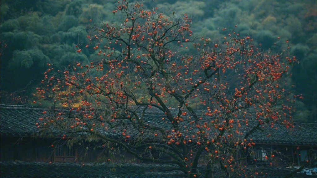 转赞，喜上眉梢，喜事美事如期而致！ ​​​​