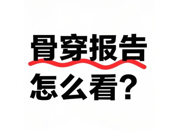 骨穿报告怎么看？