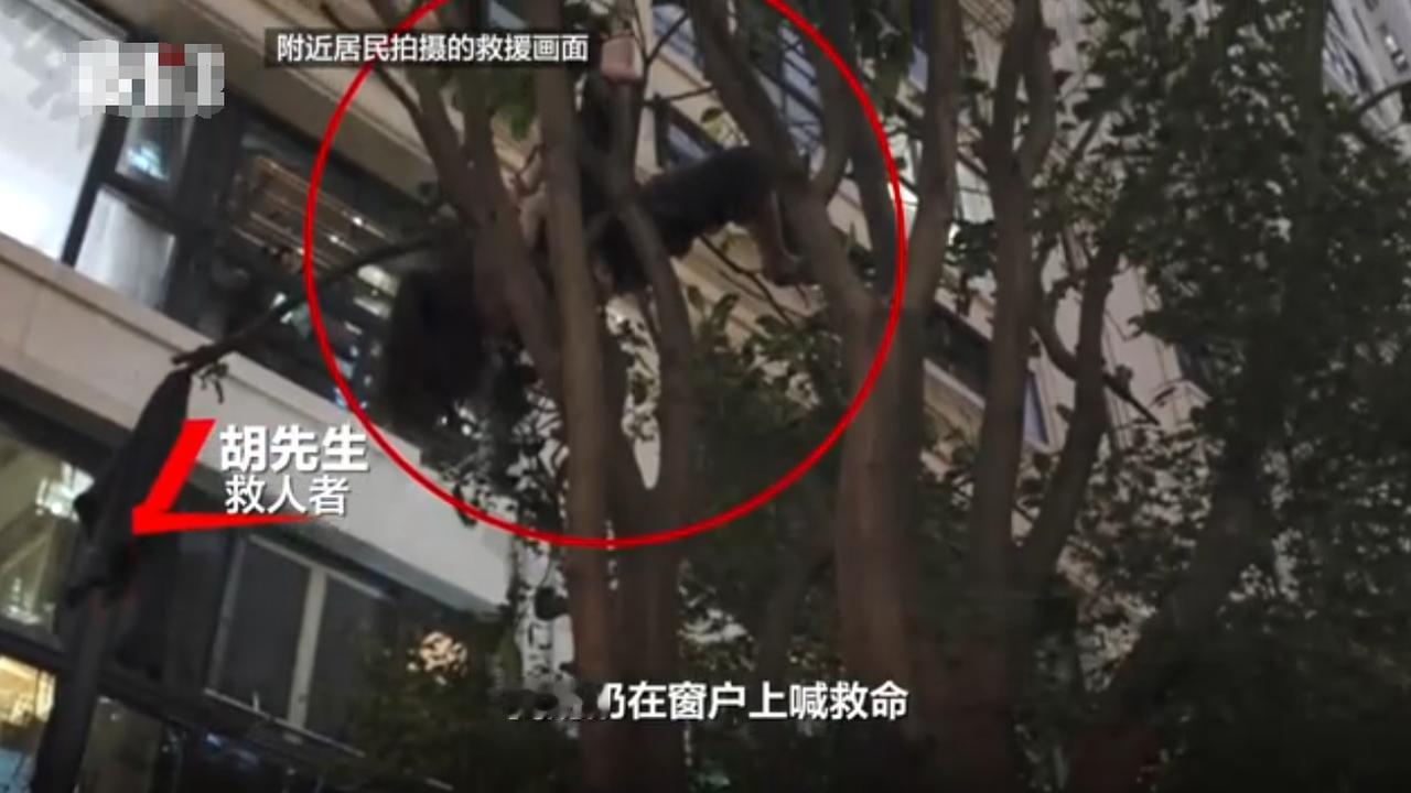 这个女孩命真大！浙江，一女子家中擦玻璃时，意外从7楼坠落，倒挂树上，小腿被树枝贯
