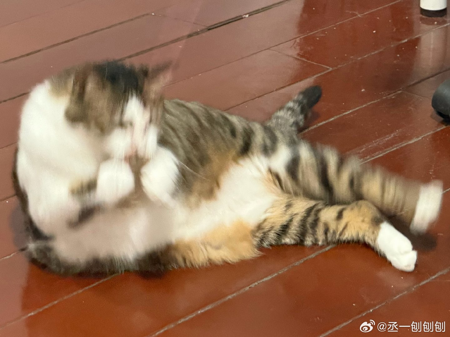 何生物啊 
