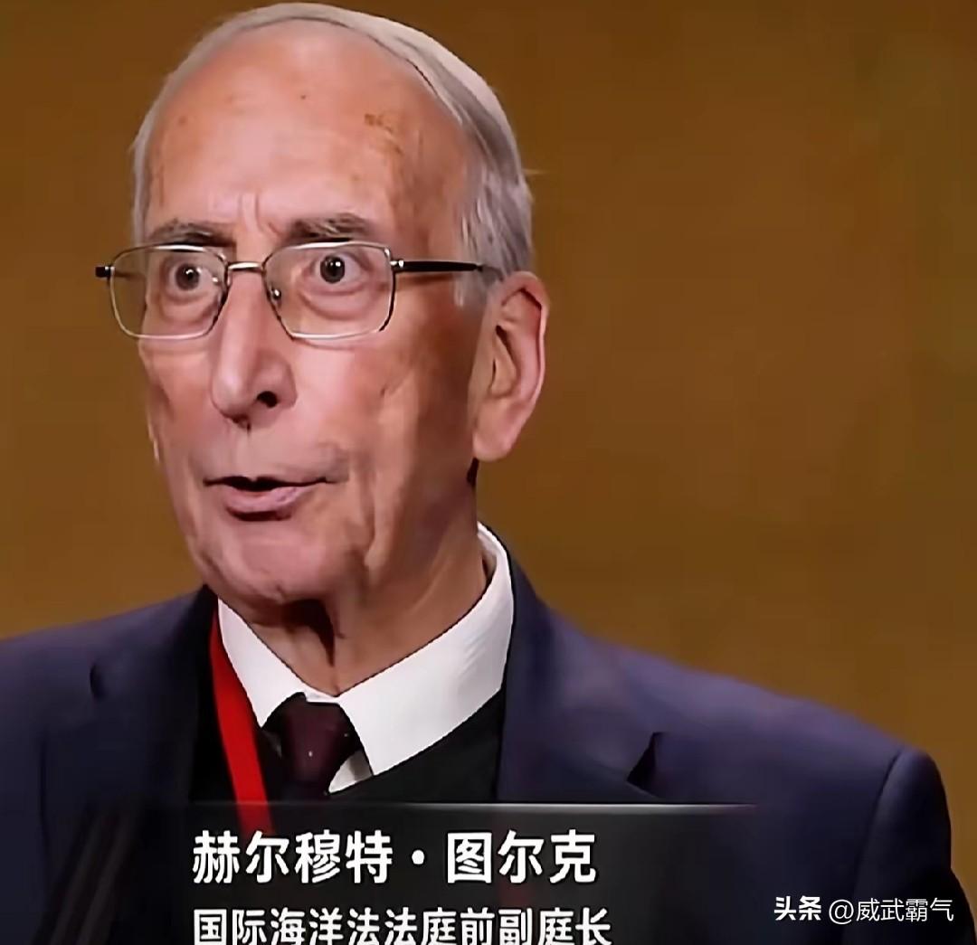蒙蔽大众整整十年，真相终于大白！
国际海洋法法庭前副庭长公开发声，戳穿流传十年的