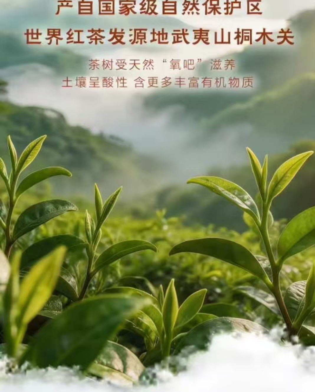 如何幸福地度过一周茶的传人  周末喜提茶的传人限量金骏眉，刚下单就迅速售罄，幸运