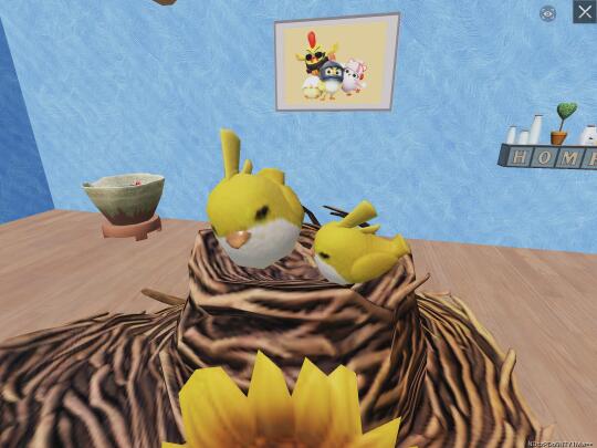 六号稻草人皮肤细致观察