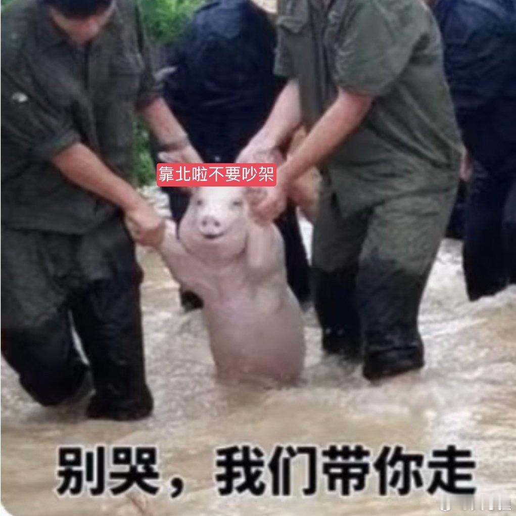 想我家女鸣星了​​​