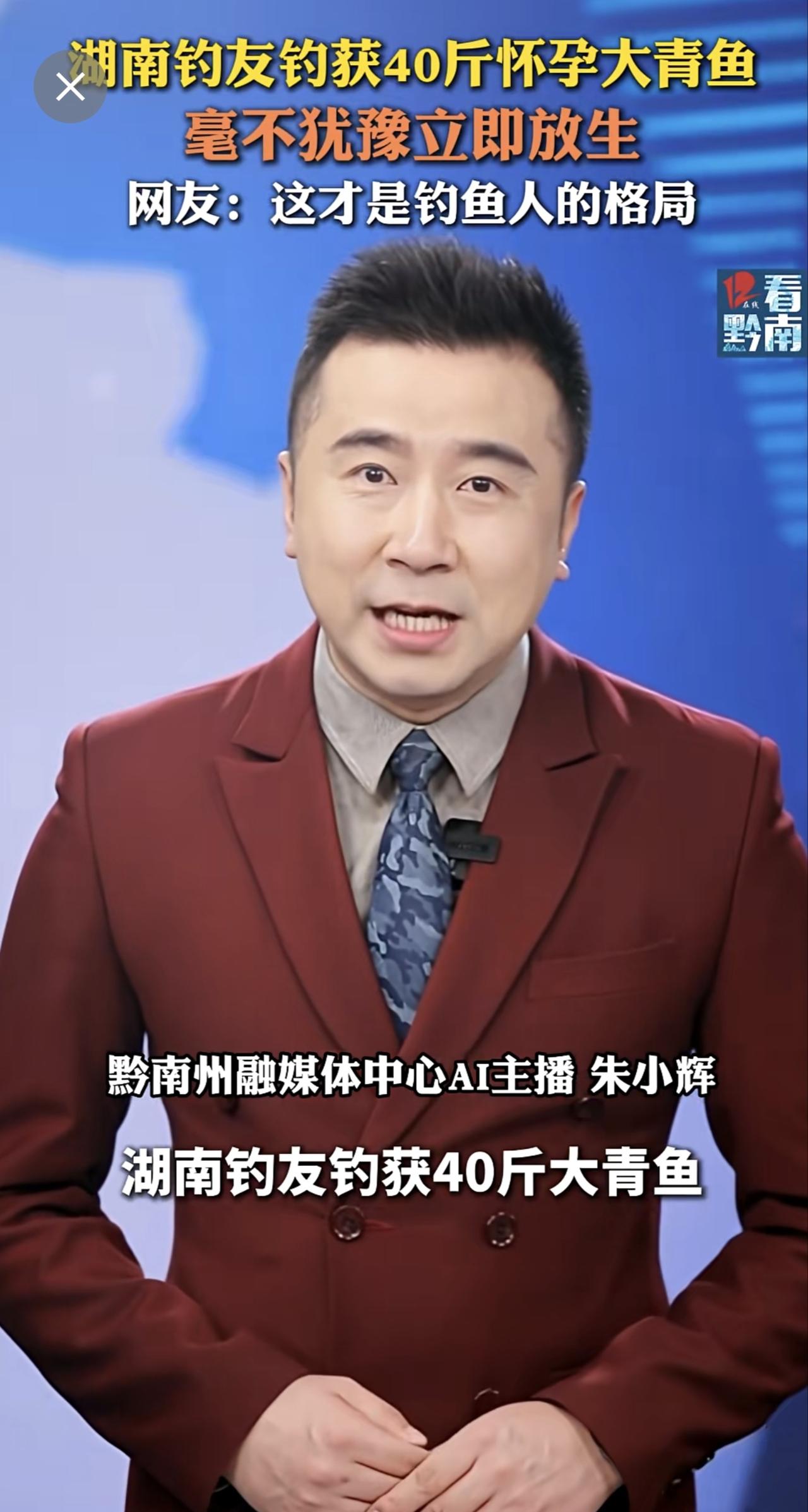 湖南钓友放生40斤怀孕大青鱼。来源：@飞飞 湖南 放生 青鱼