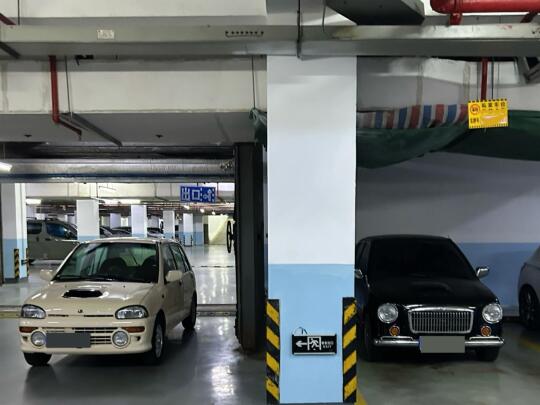 双休日出门，陷入了纠结😐