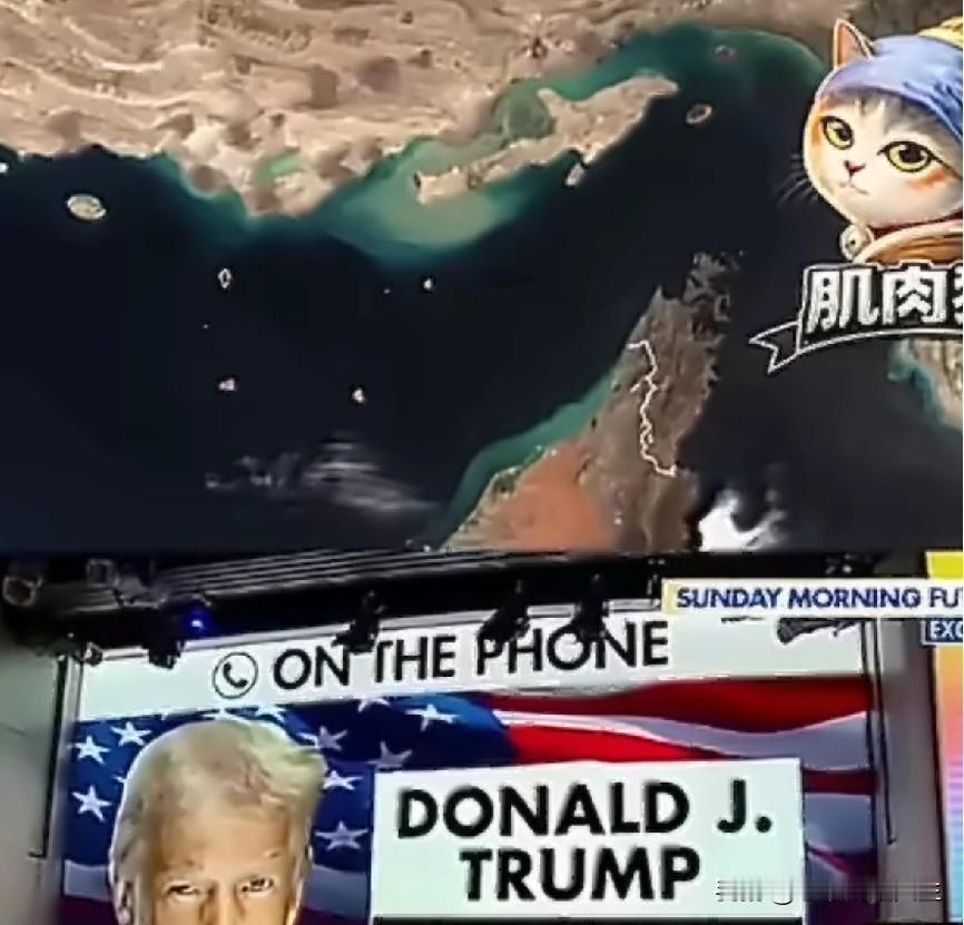 这世界就是一个巨大的草台班子！[黑线][黑线][黑线]

在美国宣布封锁霍尔木兹