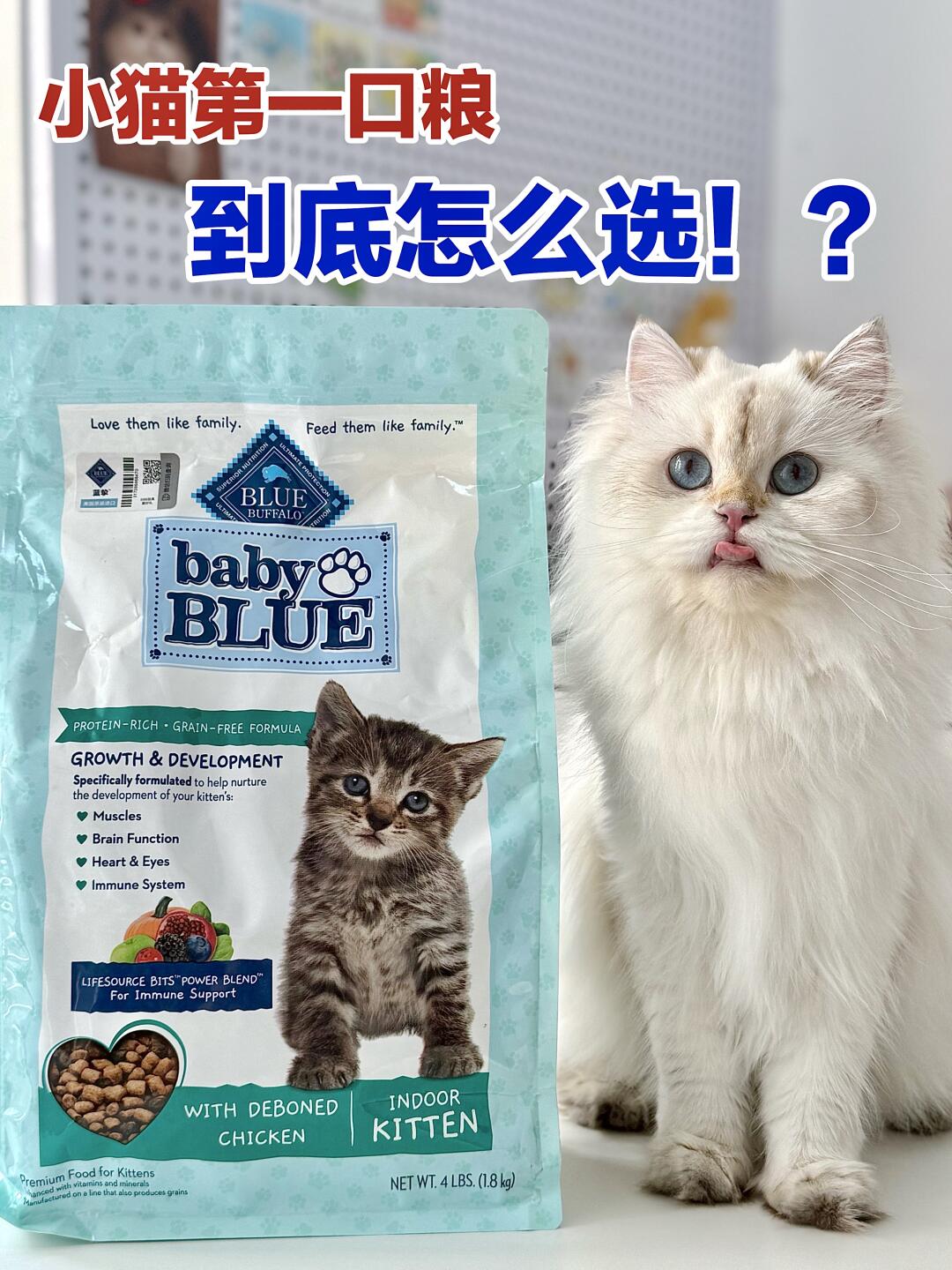 喵生第一口粮怎么选 快来抄作业！