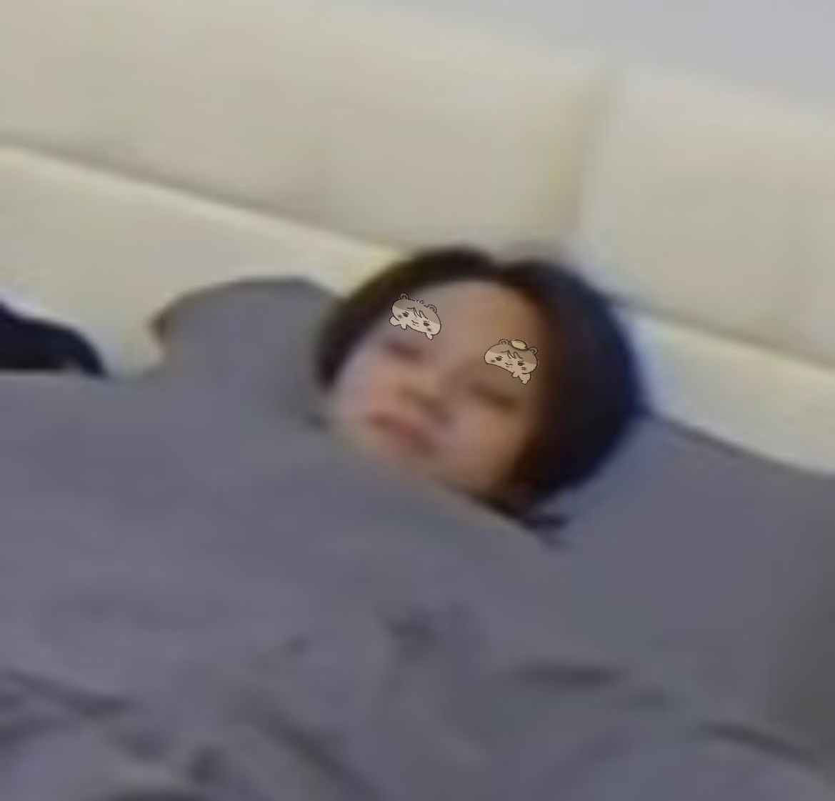 分享图片 