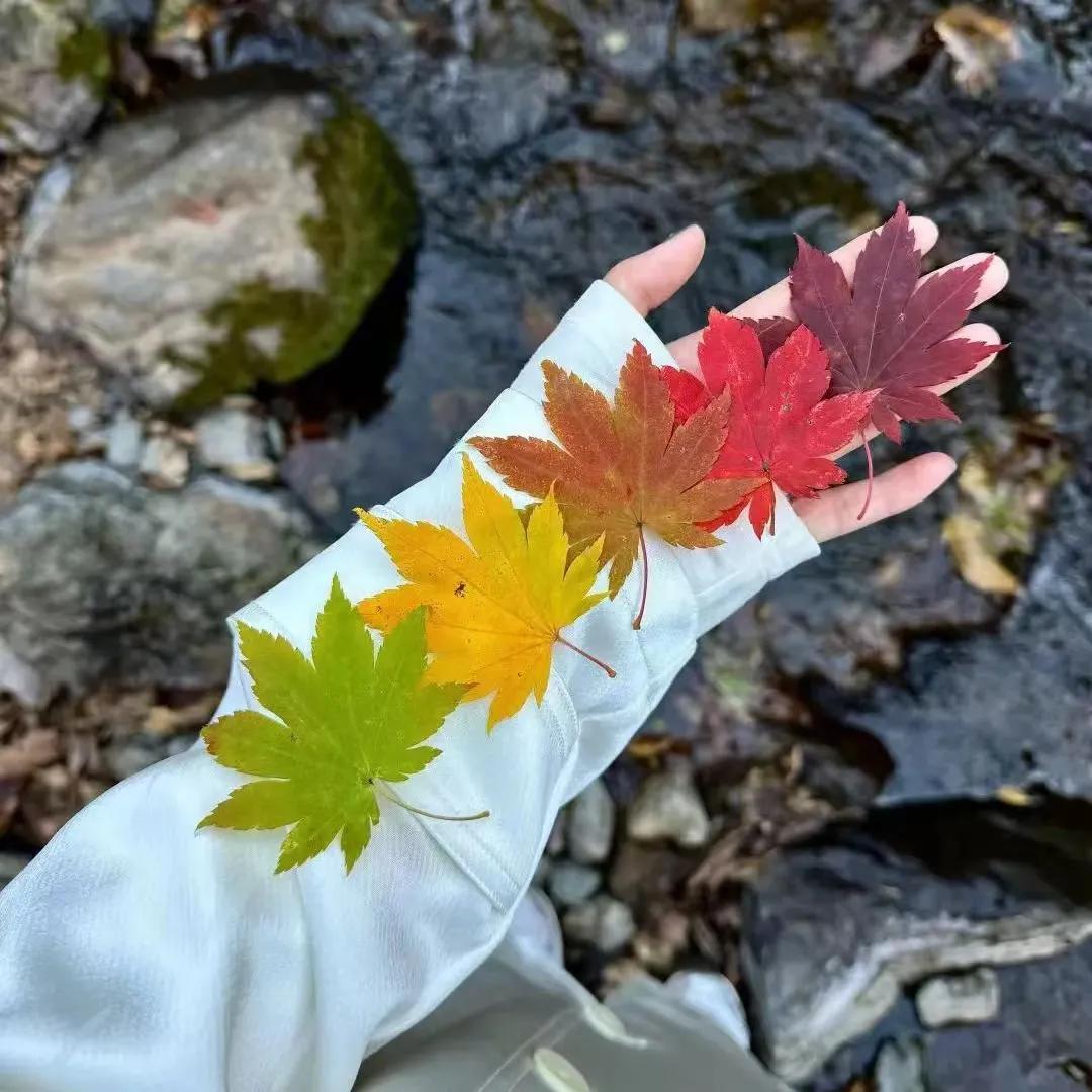 好好生活，别想太多，我们都在一天比一天老去，人生路上，该放的放，该忘的忘！记得善