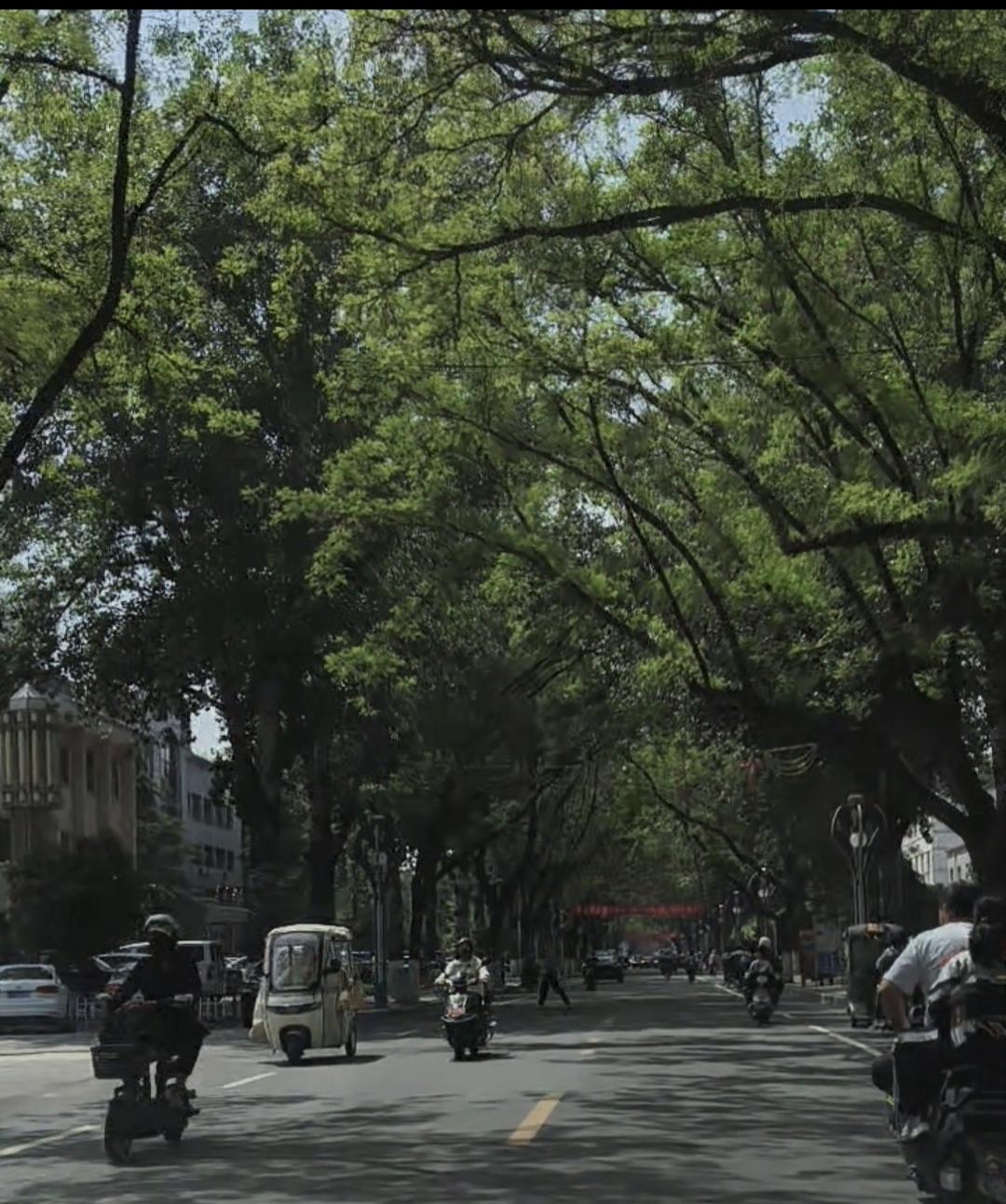 为我的真诚创作点赞！ 👍❤️🔥你也快来发布一条吧！带