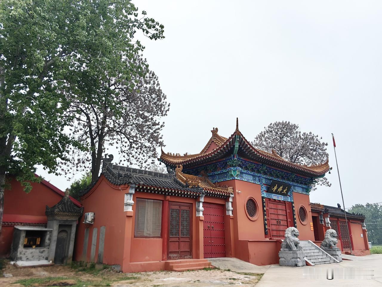 有个朋友的姐姐患白血病了，因为我过去得过白血病， 最近朋友一直咨询我有关白血病方