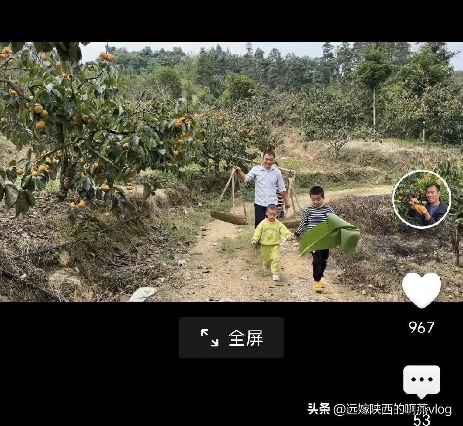 阿金哥家里面多少也有一些农活吧，金妈金爸忙不过来，现在阿金哥和小翠还没回去，还在