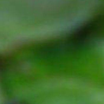 正能量[超话]正能量 做最真实最漂亮的自己，依心而行，别回头，别四顾，别管别人说