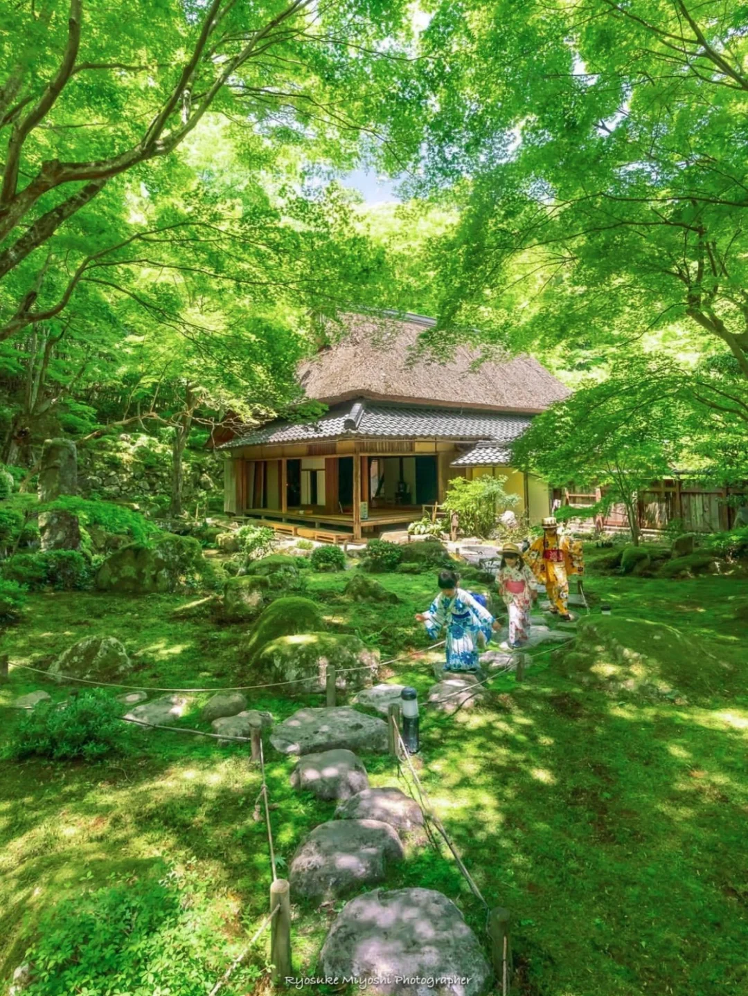 日本小众园林🍃被森林环绕 夏秋惊艳十足！