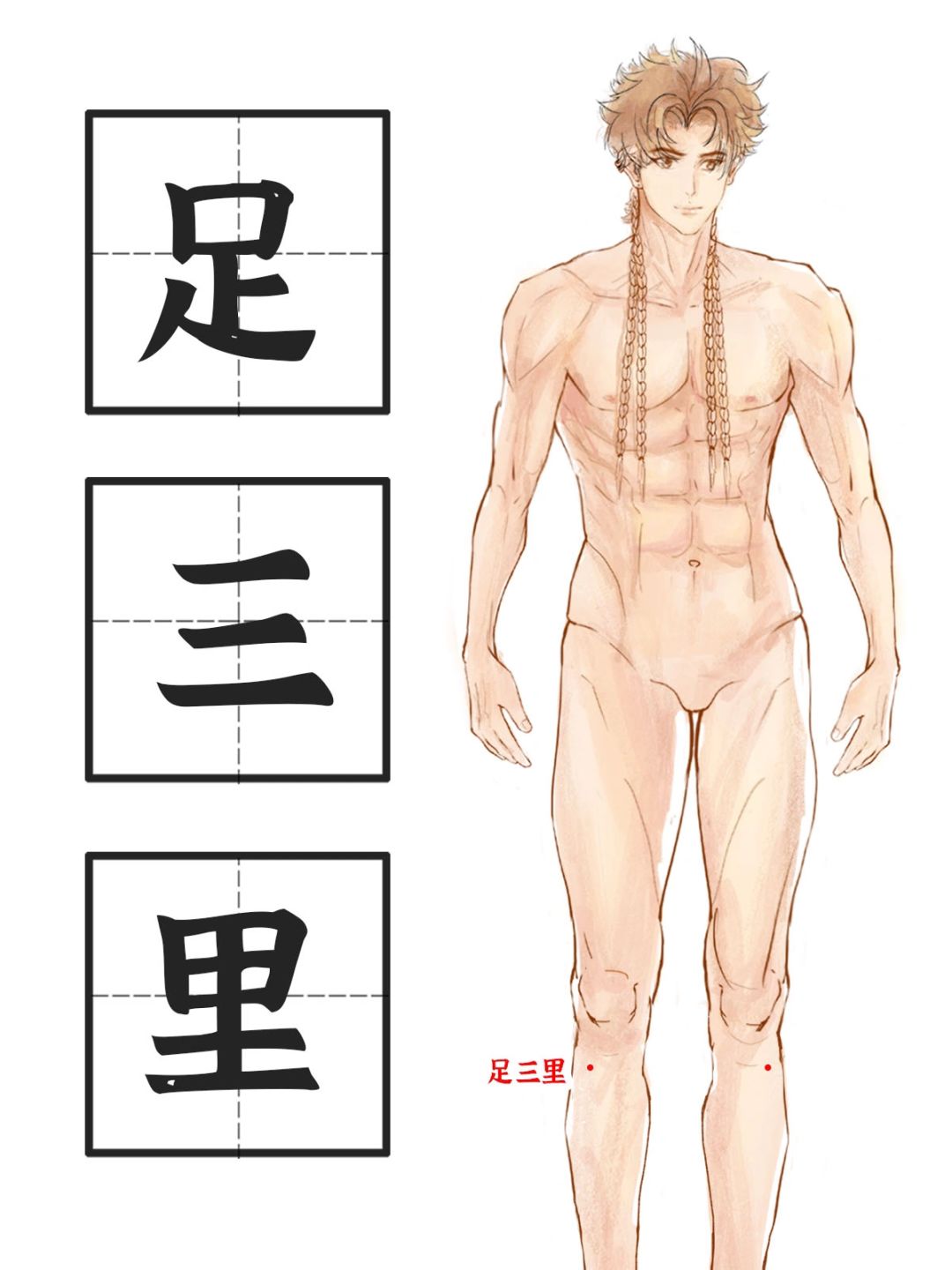 《足阳明胃经》之大穴足三里