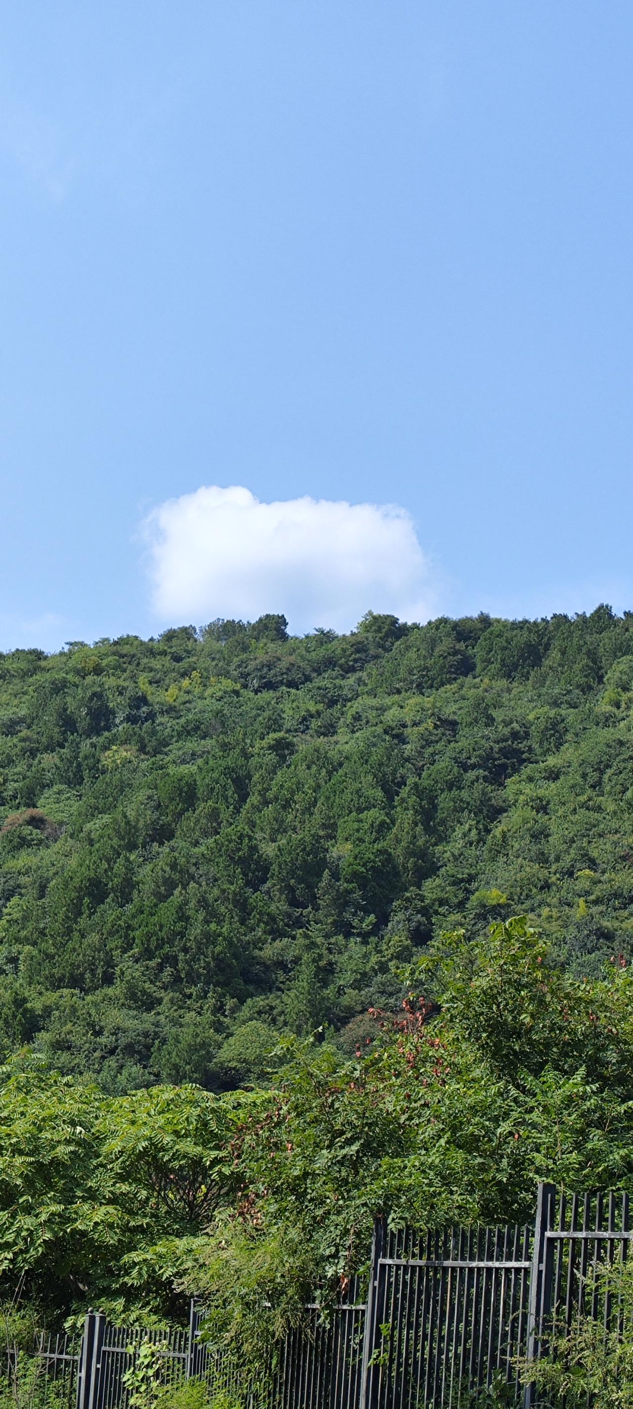 北京夏日郊区徒步，香山永远是最爱