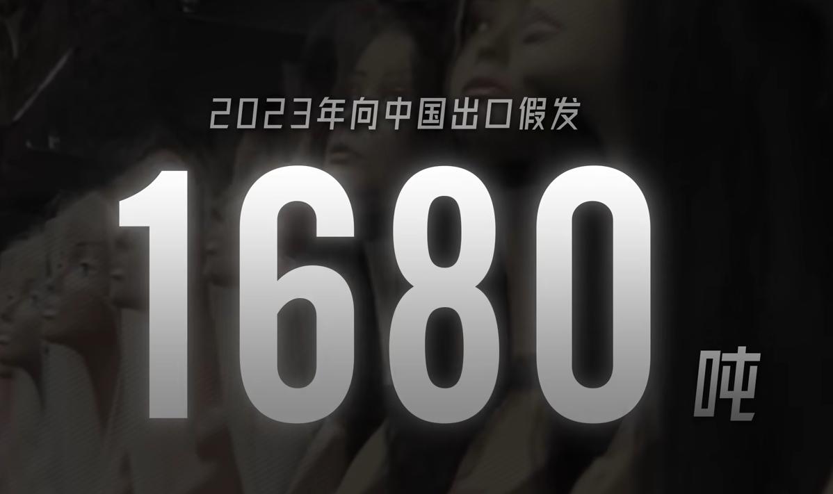 朝鲜出口的第一大产品竟然是假发，且全部出口至中国

朝鲜多年被国际制裁，对外也十