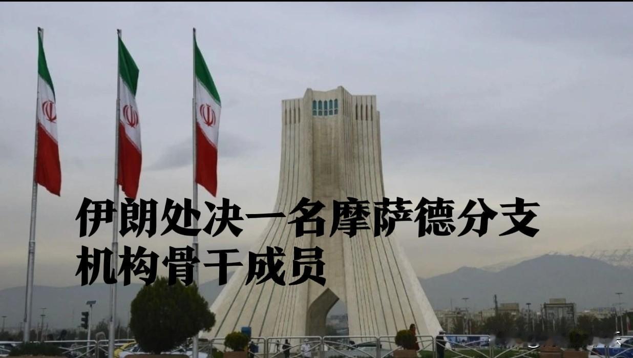 伊朗重拳反间：摩萨德骨干米尔贾法里被处决

   据外媒报道德黑兰消息，伊朗司法