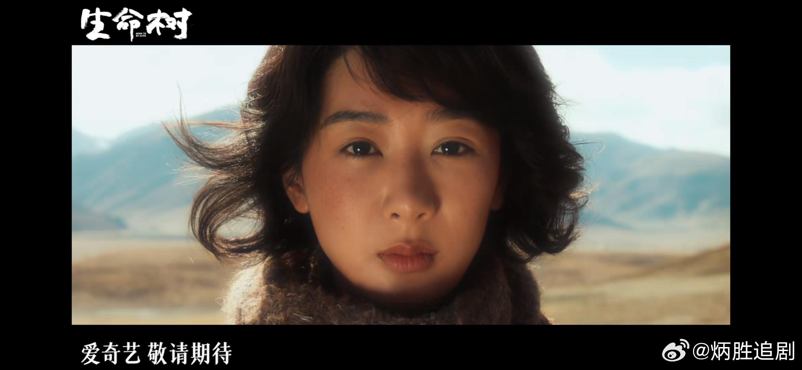 看完《生命树》杀青特辑，杨紫白菊无需多言，伟大 ​​​