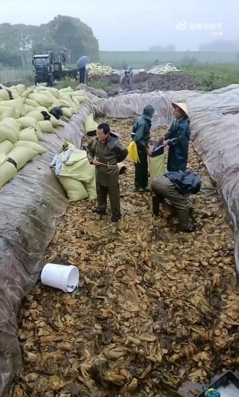 老坛酸菜已经塌无可塌了先抛开腌菜的亚硝酸盐问题，反正各种腌制食品的生产环节都有可