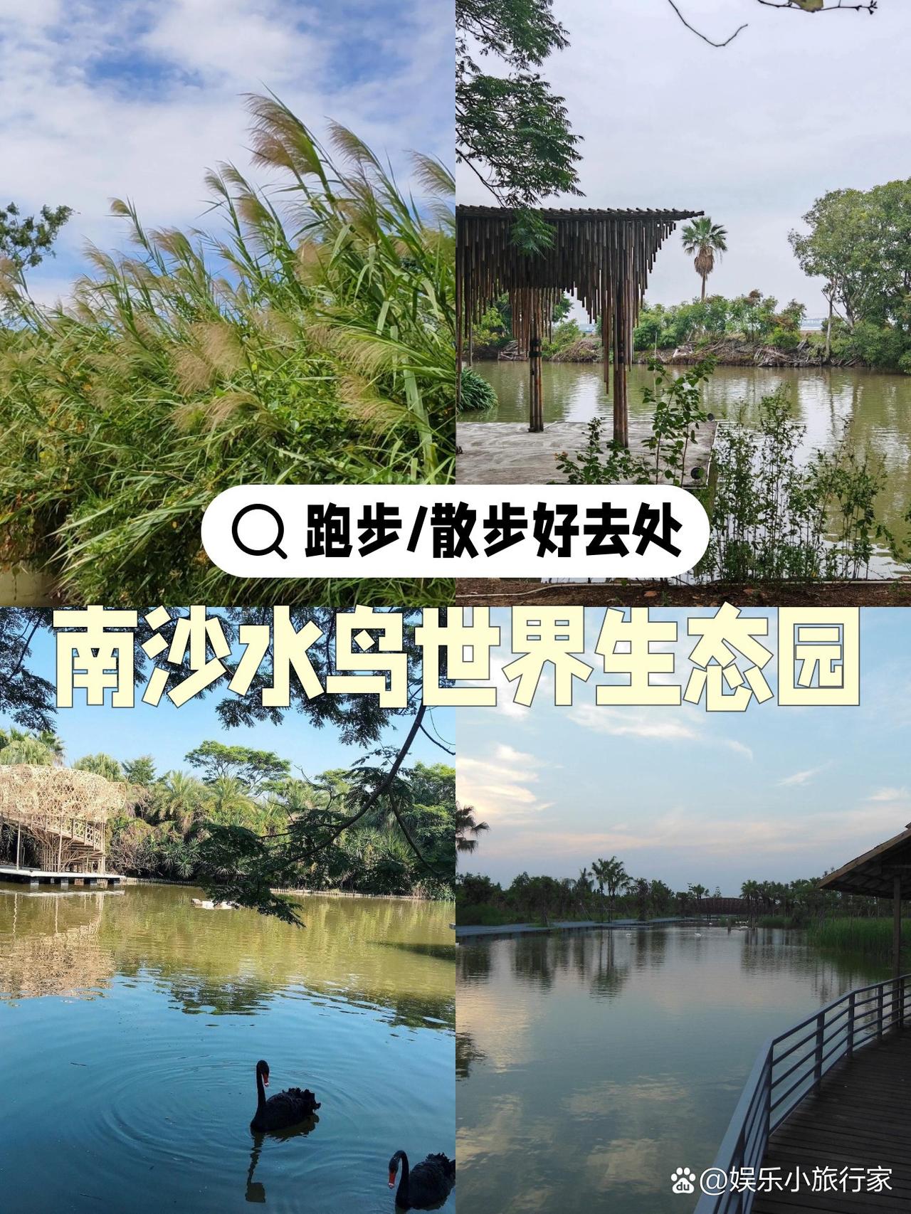 🌿春日漫游南沙｜水鸟生态园の治愈系慢跑

周末发现了一个超适合放空的宝藏地！人