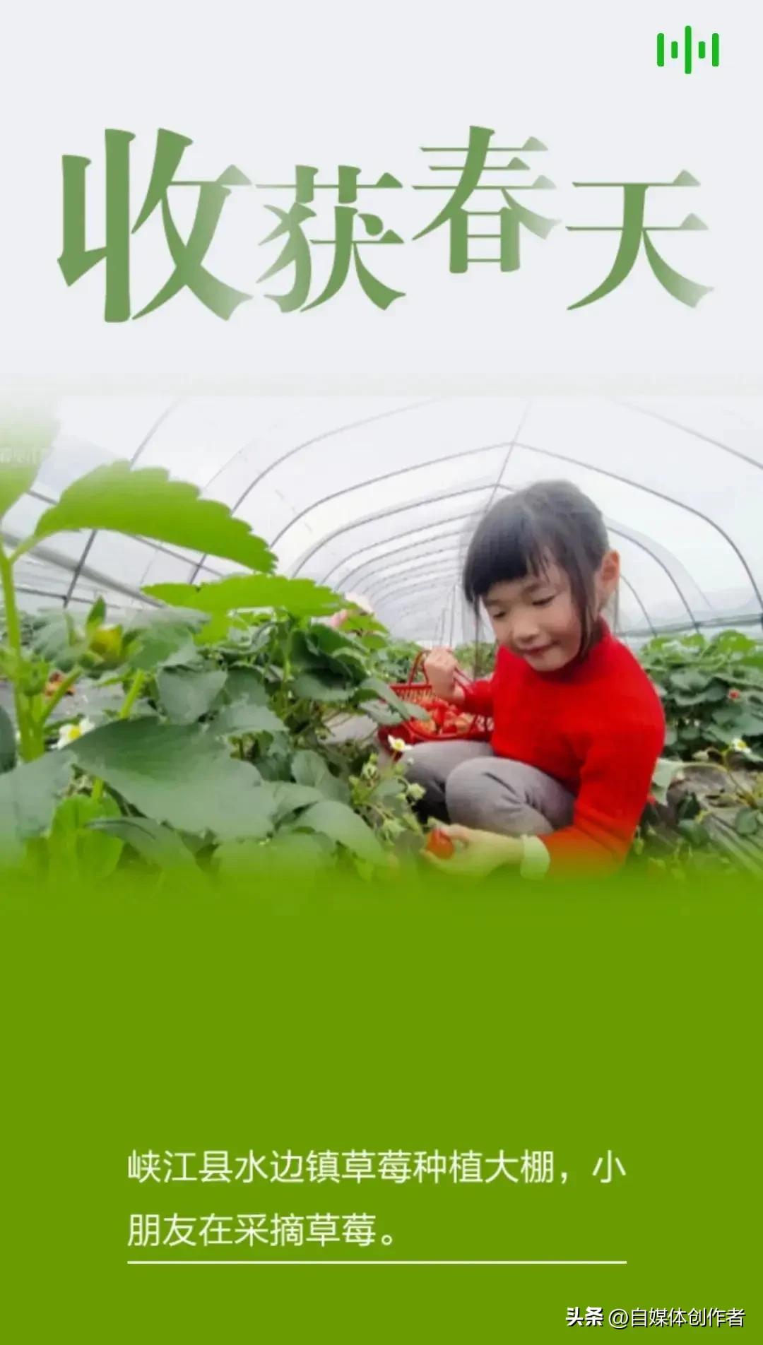 春日经济爆火的底层逻辑：流量留得住，消费才能火出圈
 
春日的消费热潮，早已从文