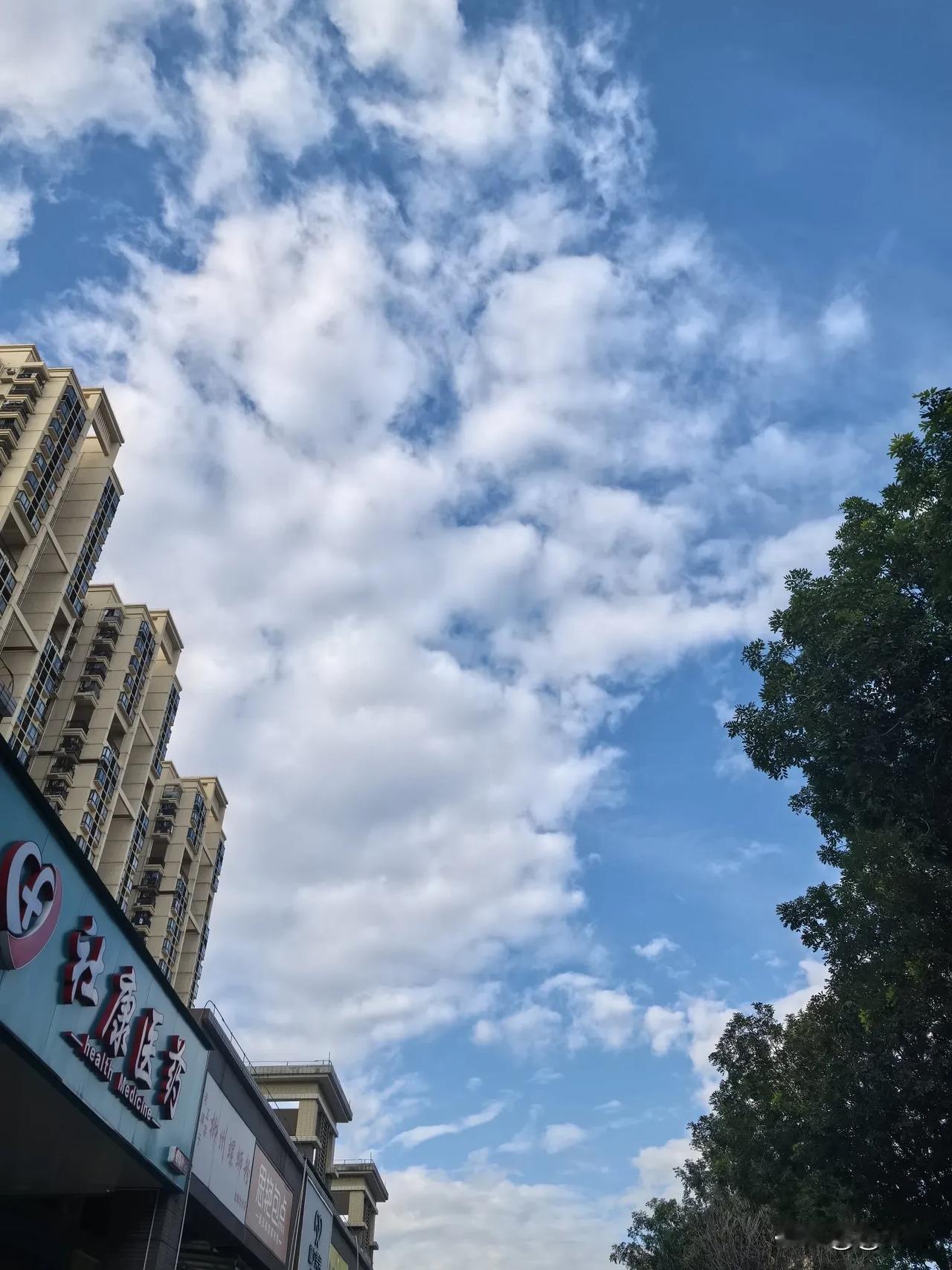 【今天的天空之美】不经意的抬头，今天的天空是蓝色的，层层叠叠的白云，阳光是温暖的