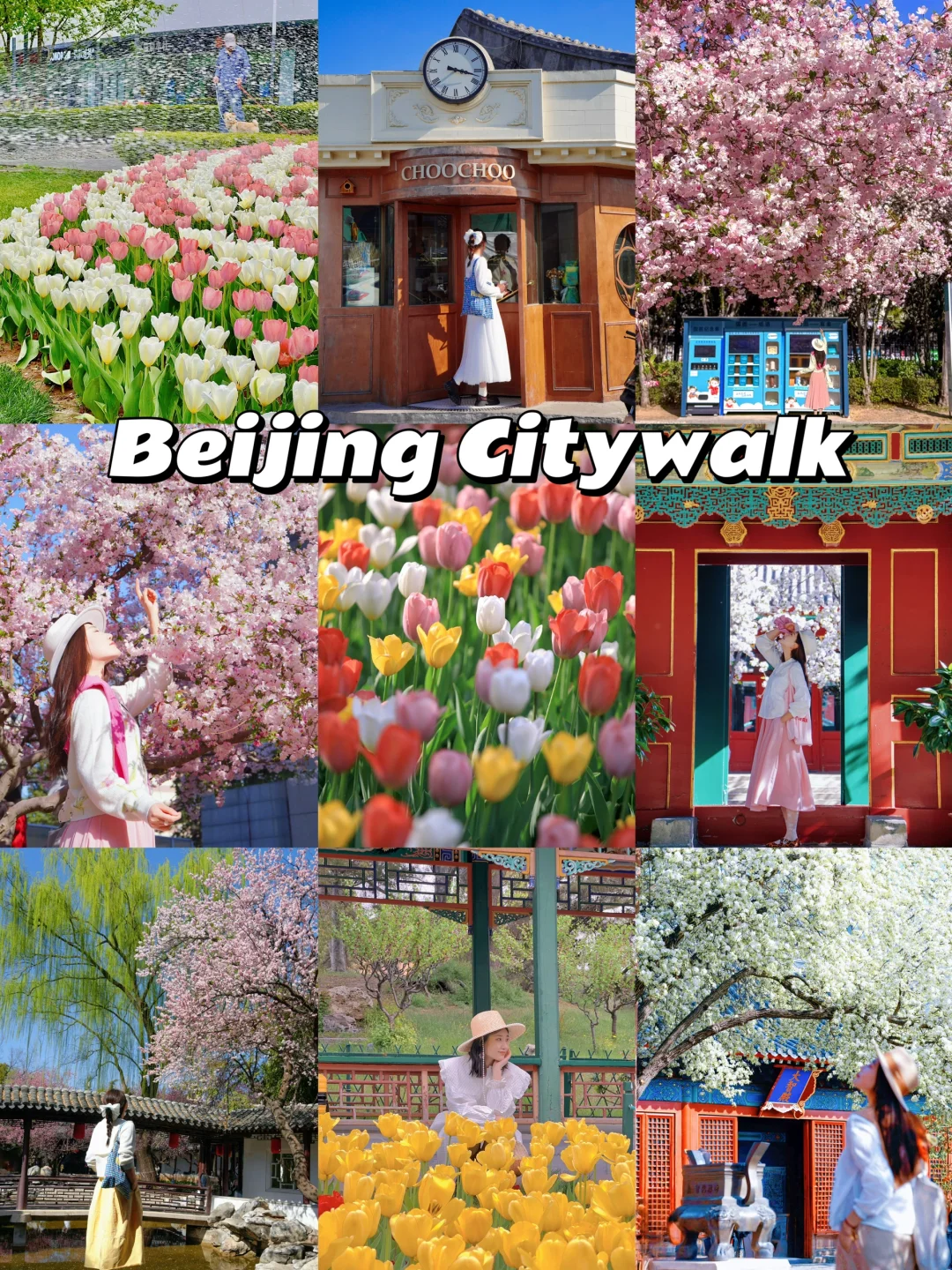 北京Citywalk🌷请直接复制这❹条赏花路线！！