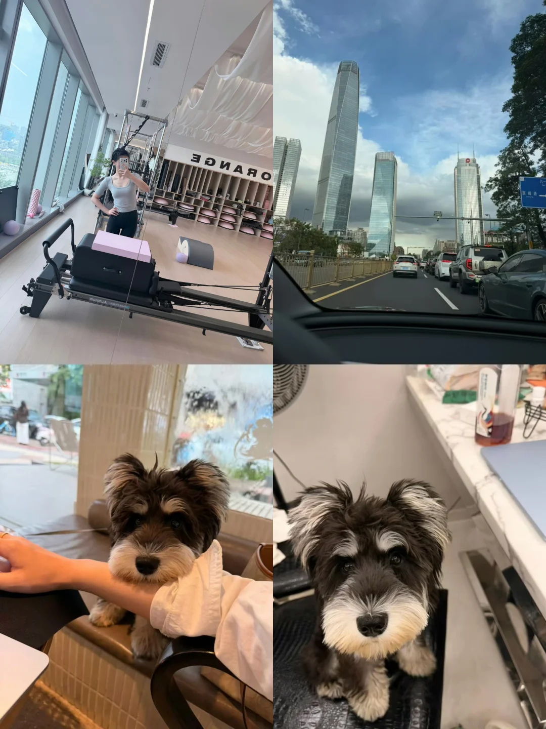 自己律与可爱，今日生活碎片