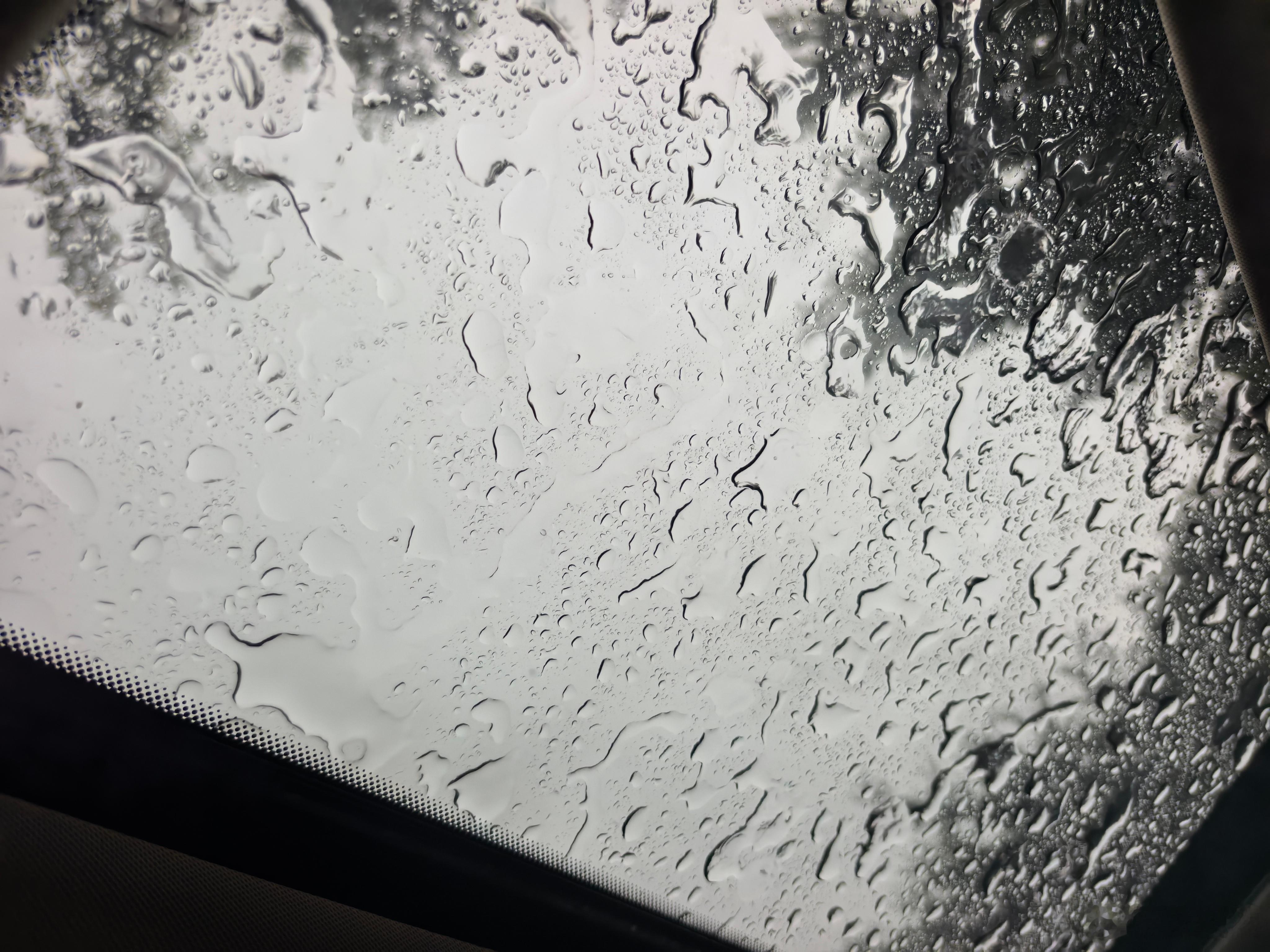 困在去网球课的路上了，太大的雨了，都看不清路了，现在在公园等雨小第一次遇到这么大
