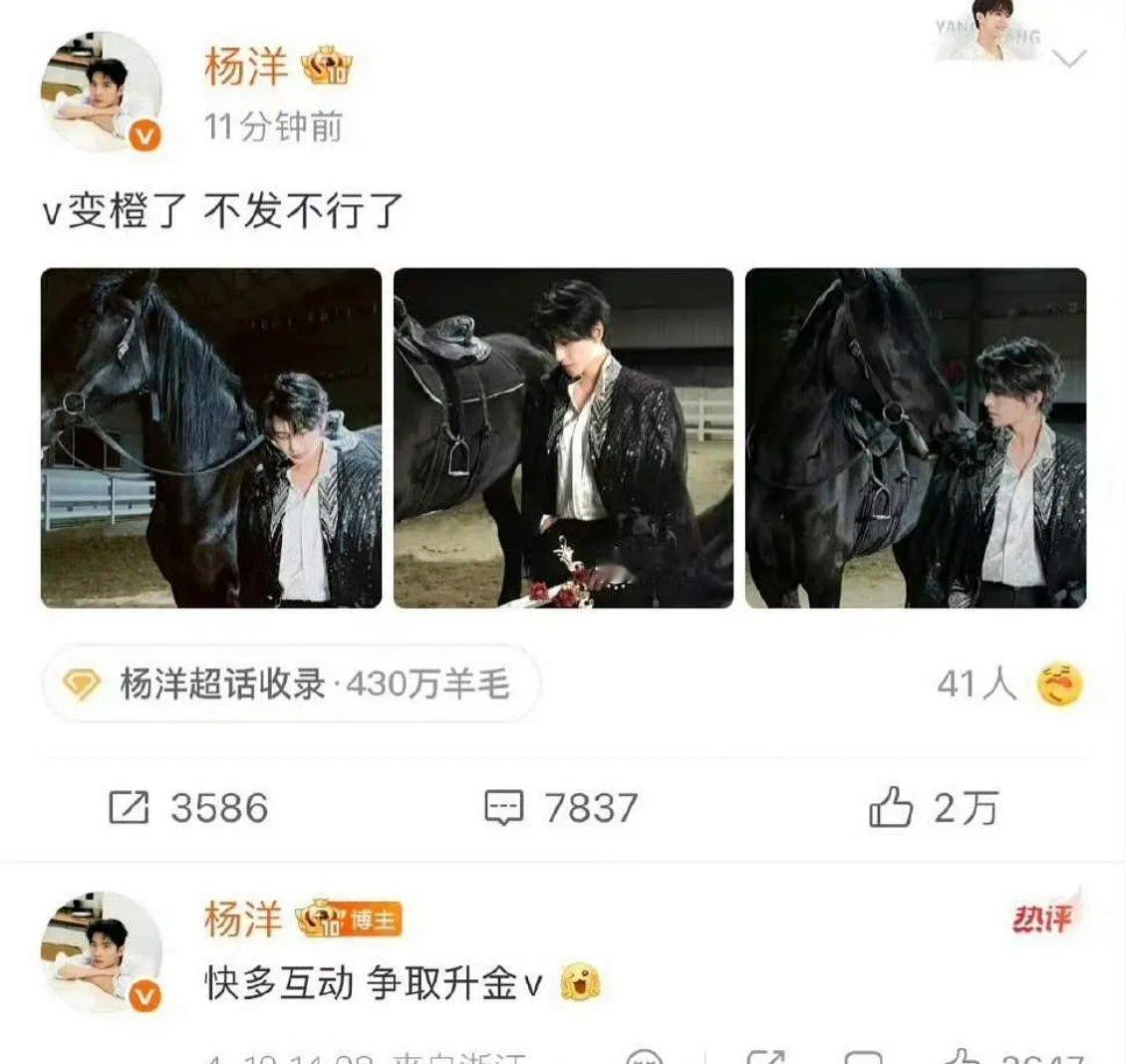 自己催sj吗…有点意思