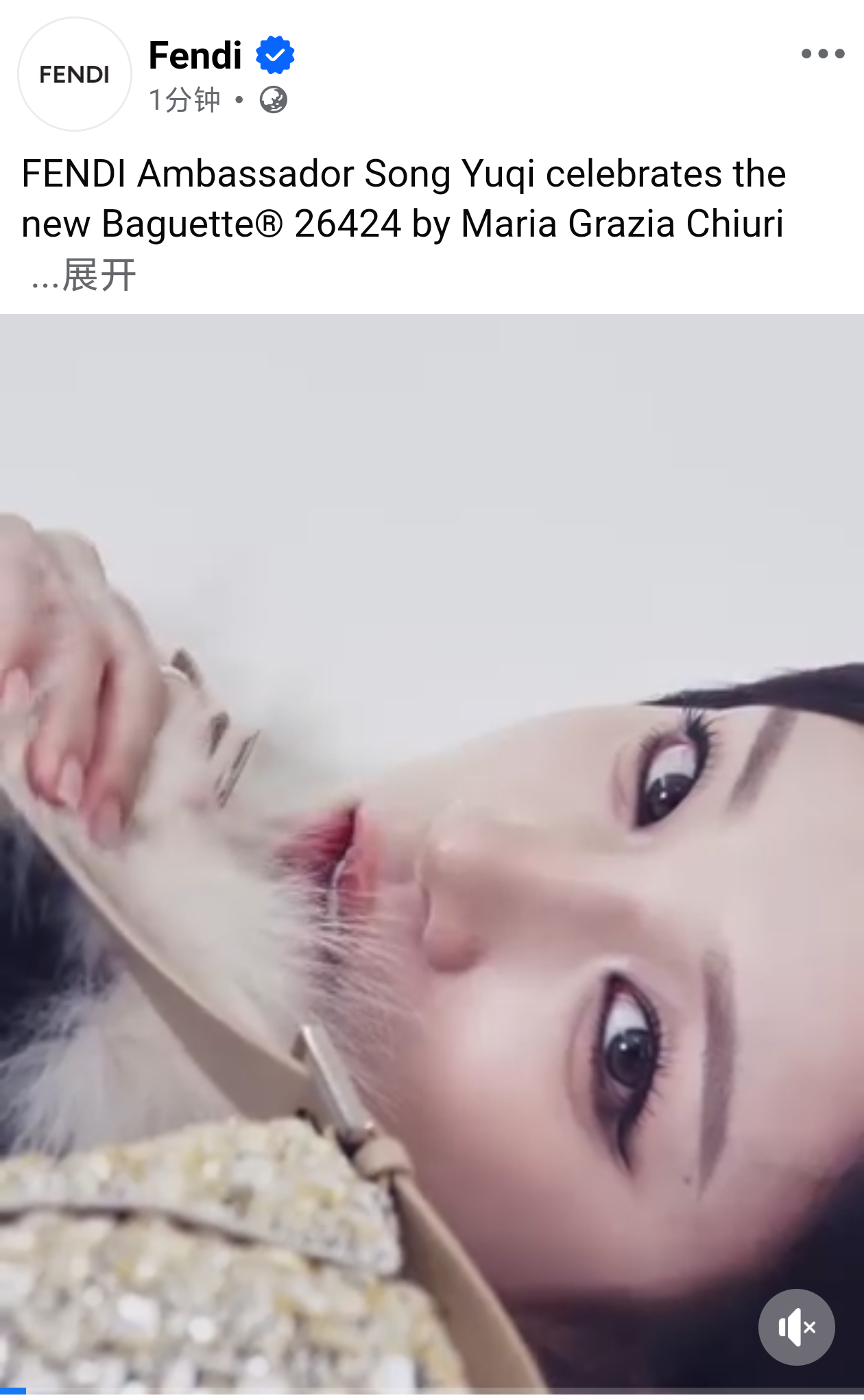 宋雨琦 ❤️🔥fendi品牌形象大使宋雨琦 海外社媒矩阵X、INS、FACEB