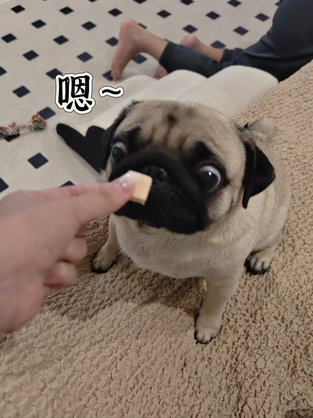 快进来看看马斯克的小奖状😊