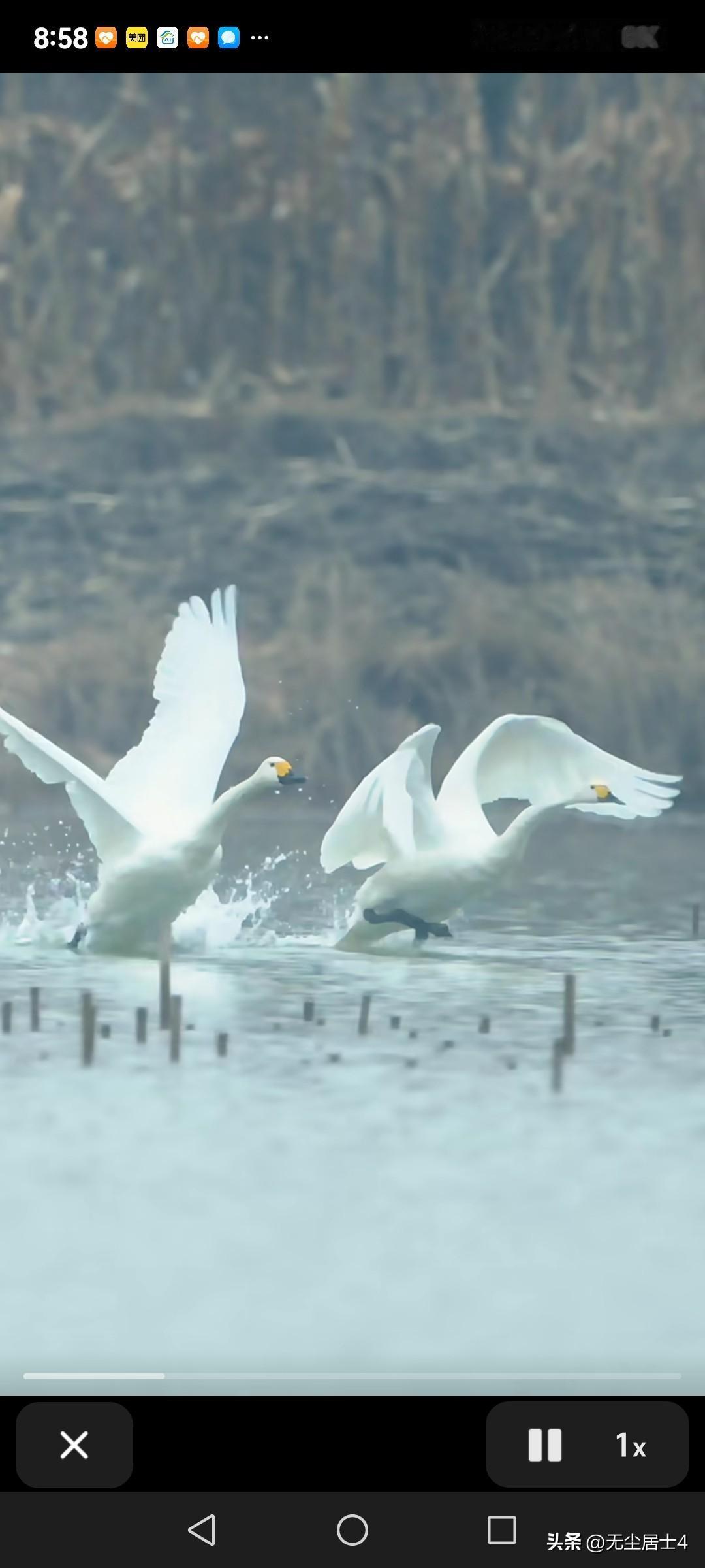 胃癌后又收到一个噩耗！仿佛是在梦中！……
亲大哥今天被确诊为口腔癌，今年刚60周