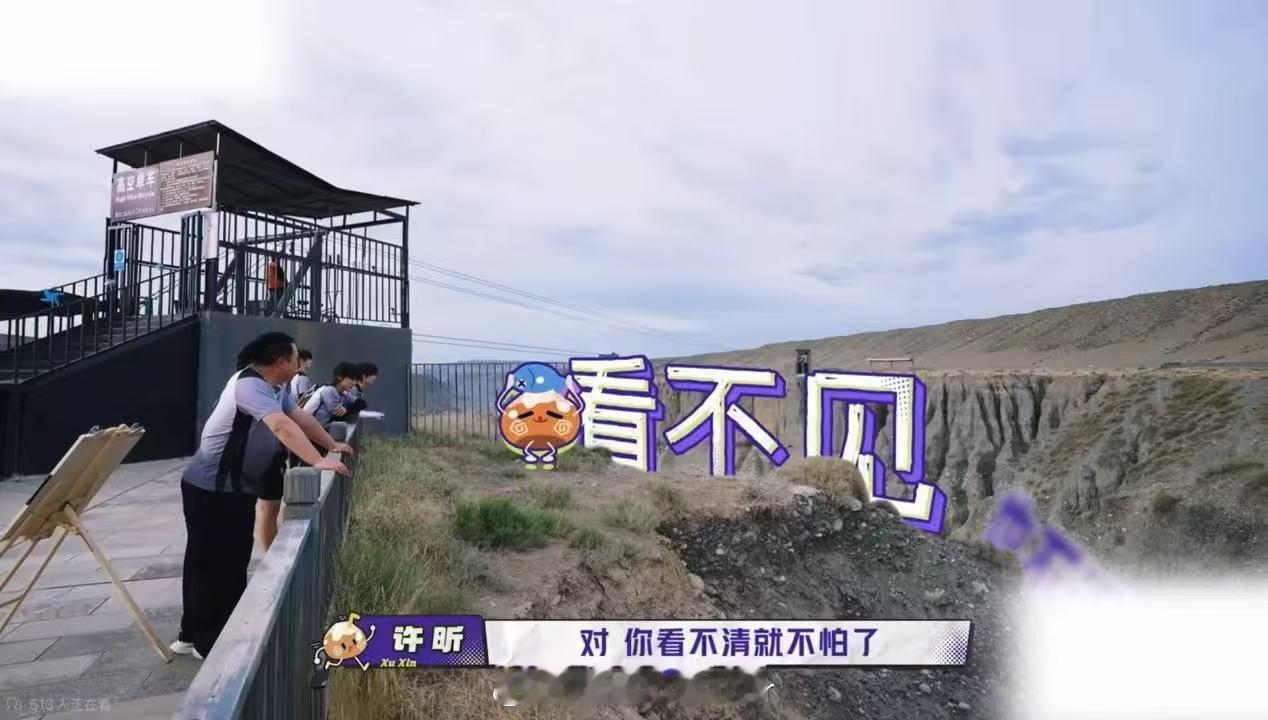 许昕说张泽禹无知者无畏张泽禹视力最好但恐高一路向海的少年  大多人恐高是脑补画面