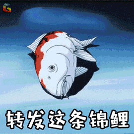 翻身咯，压在你身上的石头被锦鲤搬走了！  