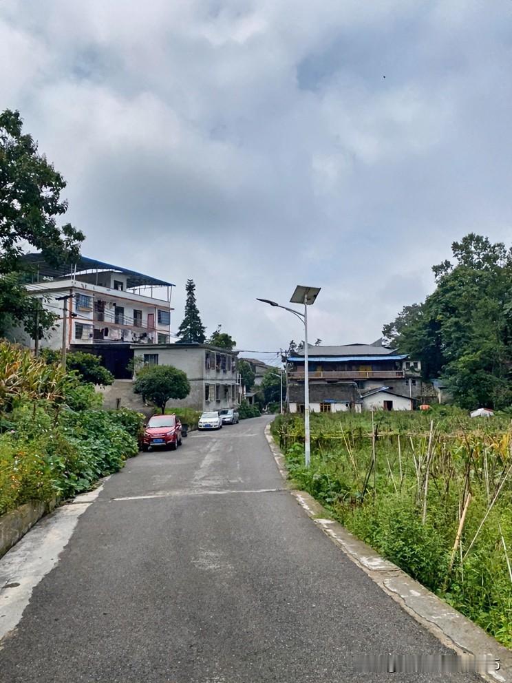 今日是八月的最后一天，盛夏的喧闹如潮水般缓缓退去。今早一场倾盆大雨，仿佛在提醒余
