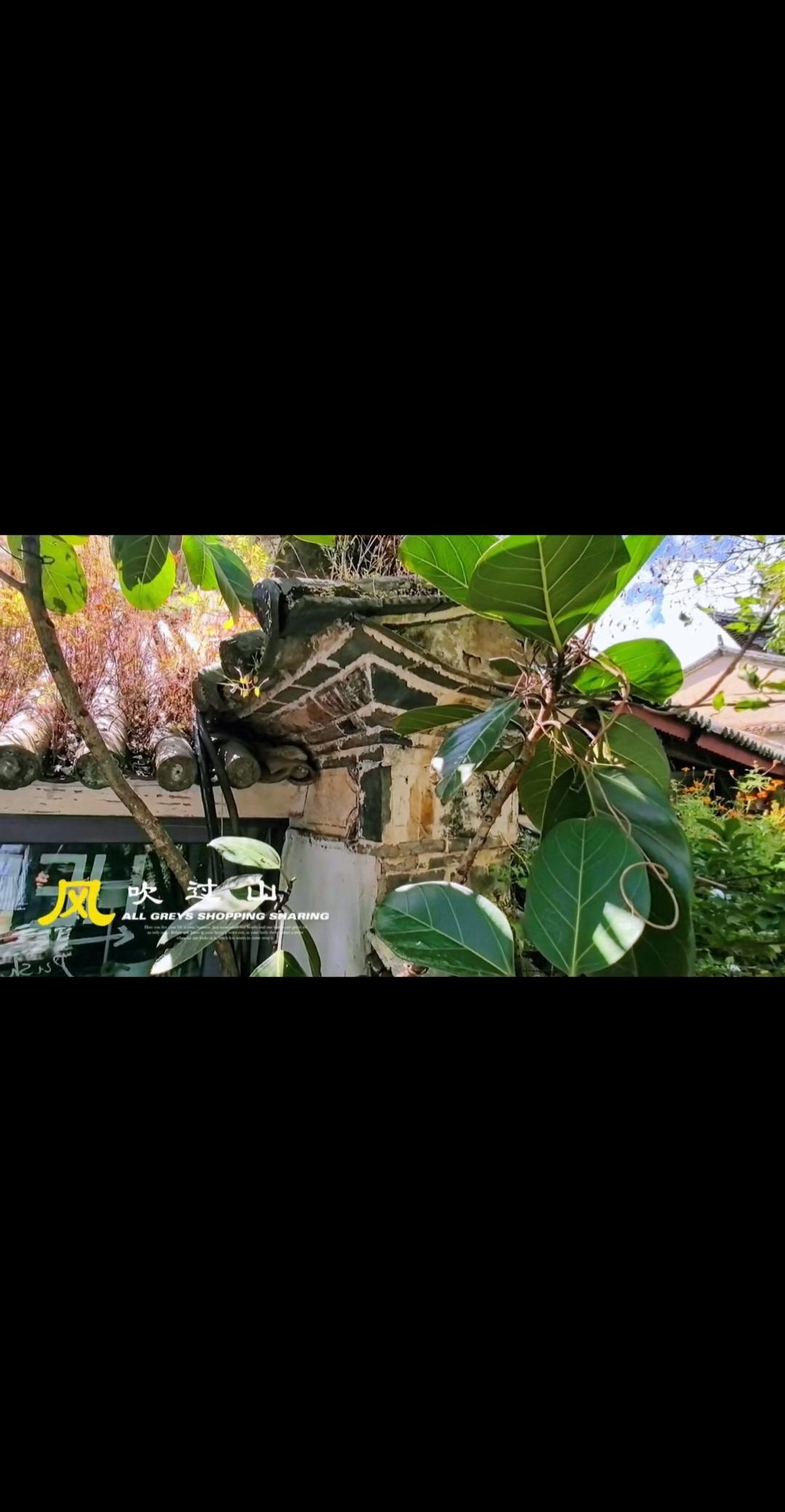 🌿大理的治愈感，藏在低头可见的人间烟火里。没有刻意堆砌的网红打卡点，只有真实的