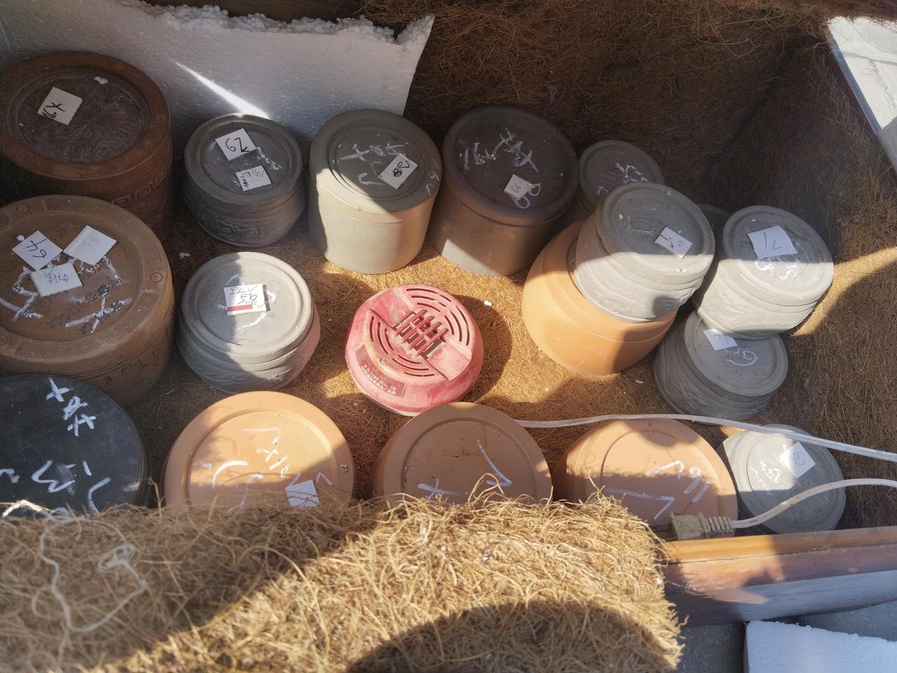 我新发布的内容被官方推荐啦！👍你也快来发布一条吧！带记录真实生活话题，更容易被