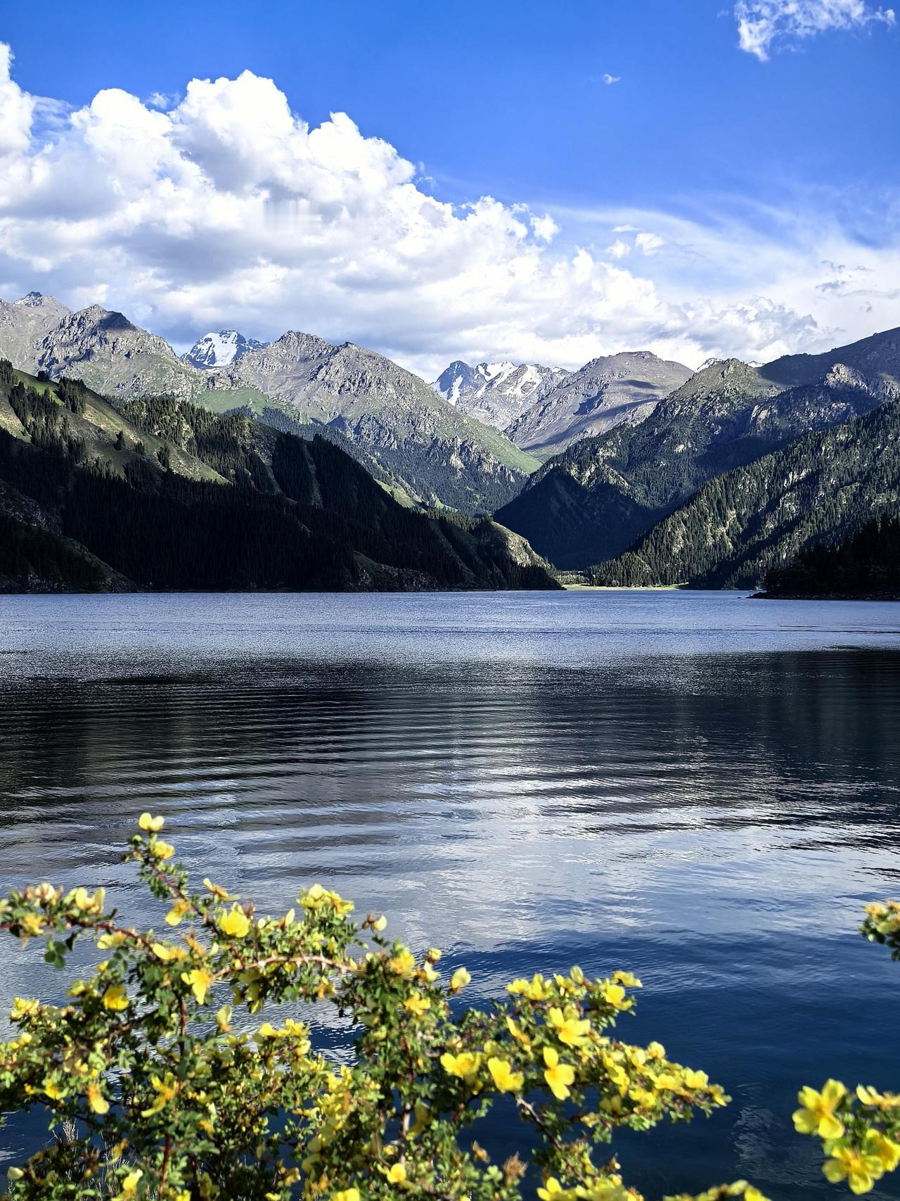 刚从天山天池游玩回来，自然风光绝美震撼，但游玩过后，心里一直藏着三个疑问，忍不住